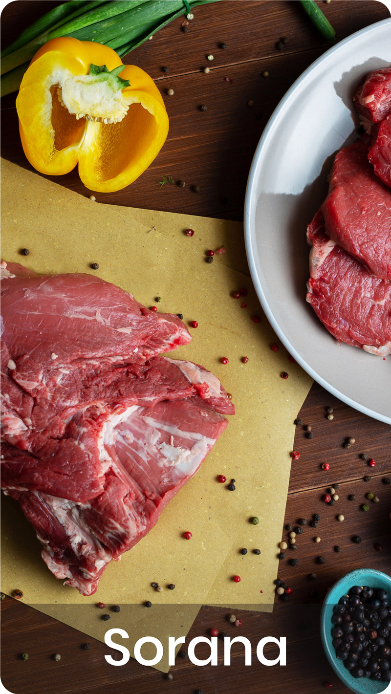 Carni Guglielmin - Sorana